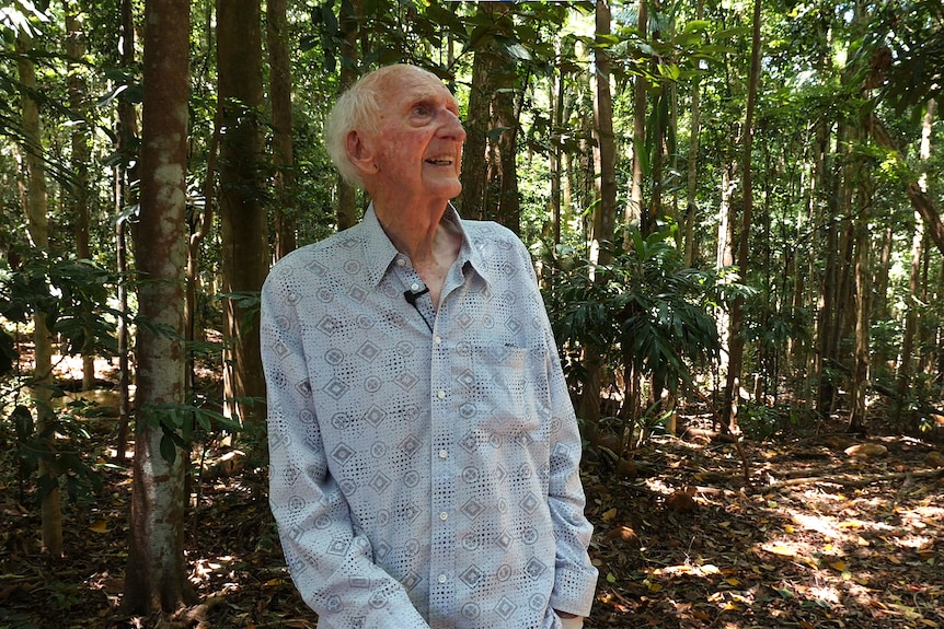 An elderly man with white fluffy hair stands in a shady clearing among tall rainforest trees, looking up.