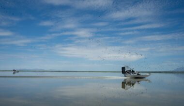 Voices: Great Salt Lake is testing a new approach to conservation