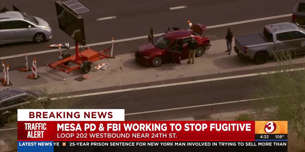 Fugitive arrested after Loop 202 crash in Phoenix