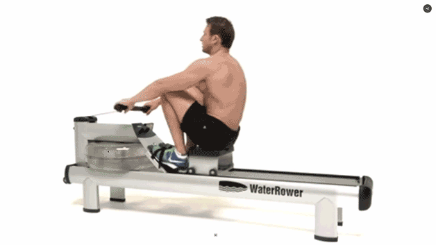 cardio exercises to lose weight