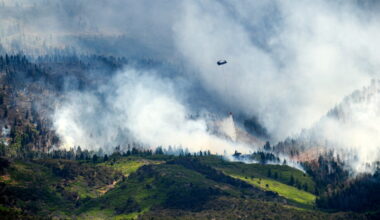Trump administration launches US Wildland Fire Service amid worsening wildfires