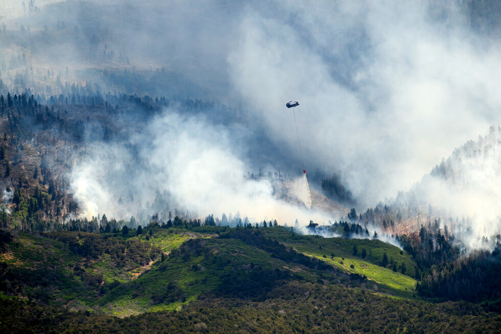 Trump administration launches US Wildland Fire Service amid worsening wildfires