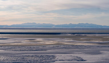 New oil and gas lease sale set for Alaska's Arctic National Wildlife Refuge
