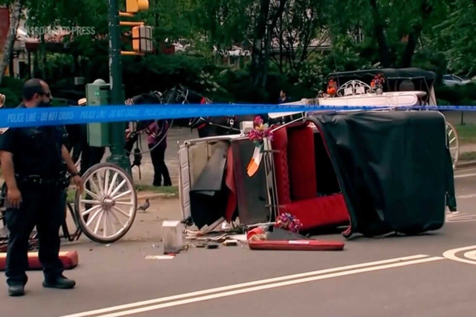 New York leaders push to ban horse carriage industry after Indian teen's death