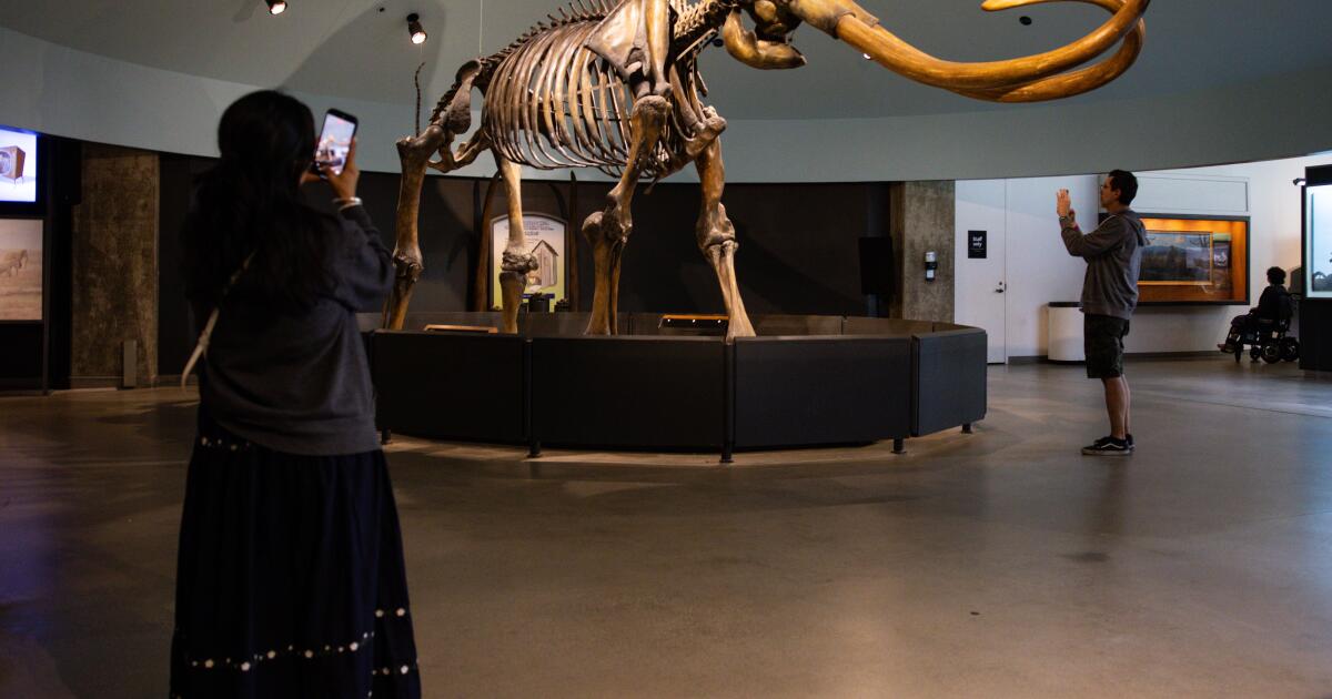 Farewell, my Smilodon: La Brea Tar Pits to close for two years