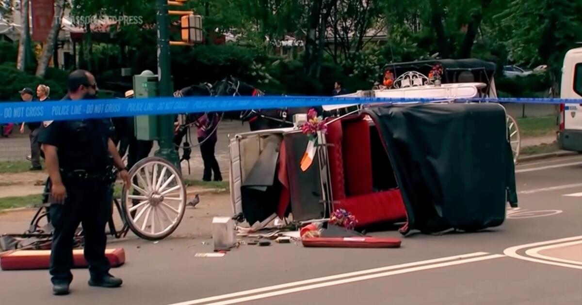New York mayor, other leaders push to end horse carriage industry after young Indian man's death
