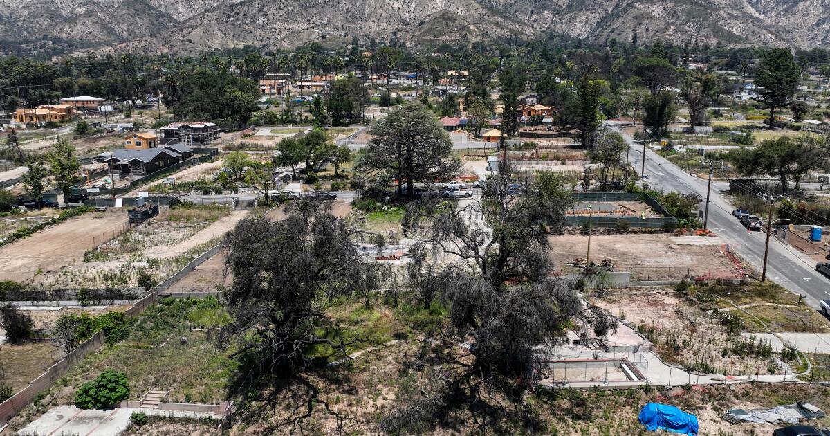 L.A. County moves to clear vegetation from razed lots in Eaton, Palisades fire zones