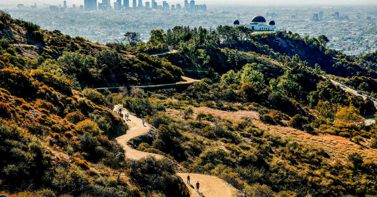 Hollywood Hills hiker dies following rescue attempt
