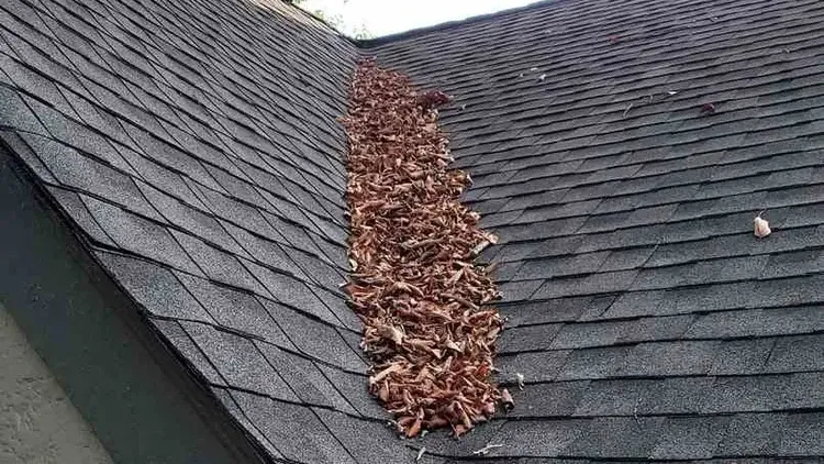 Rosie on the House: Simple ways to keep an eye on your roof
