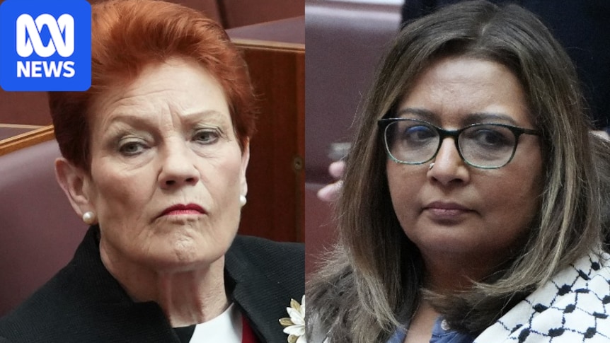 Pauline Hanson fails in appeal bid against racial discrimination of Mehreen Faruqi