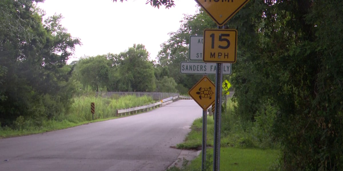Turtle crossing signs placed around Sturgeon City in Jacksonville