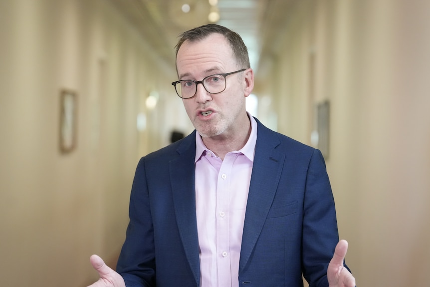 David Shoebridge wears blue suit jacket, pink shirt and no tie. Speaking in a corridor to the media.