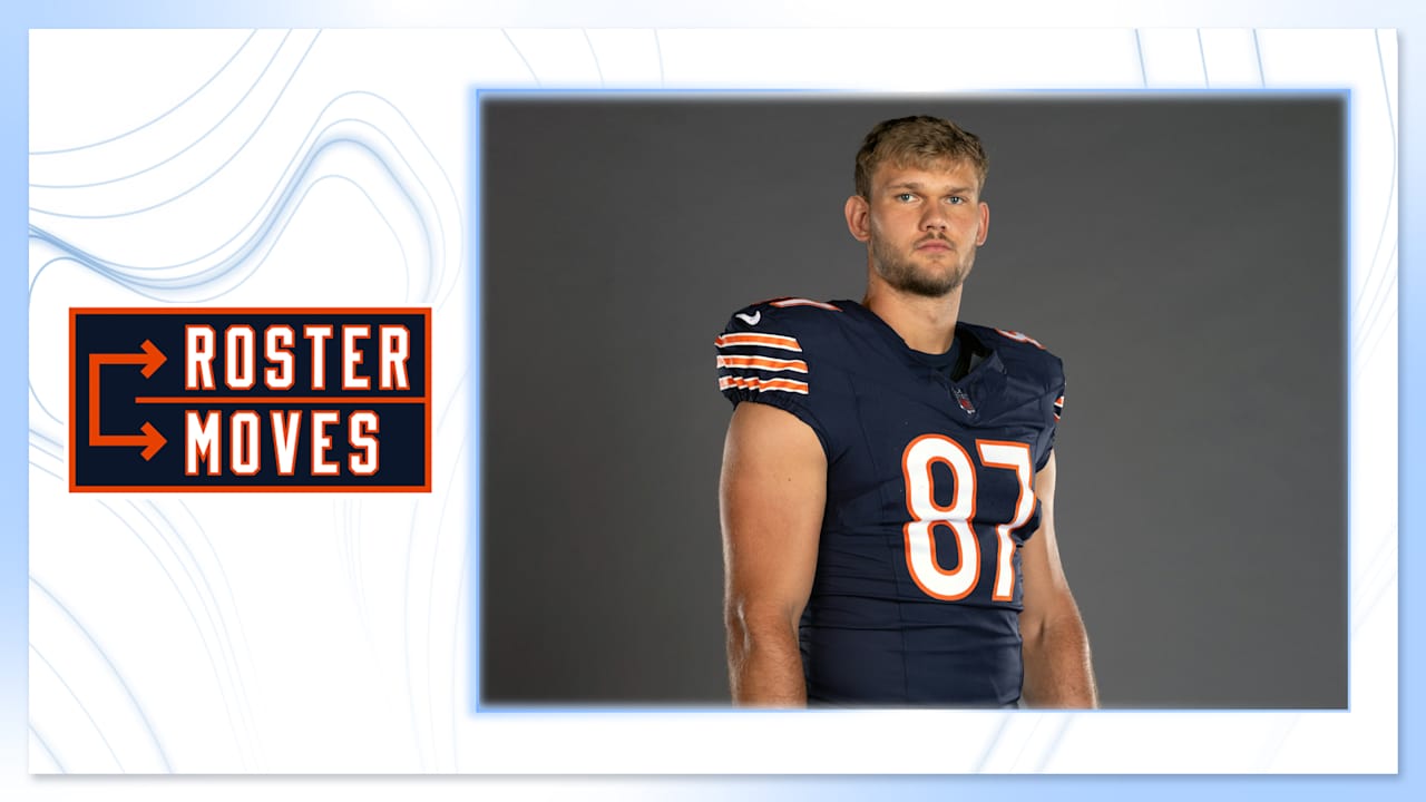 Chicago Bears logo