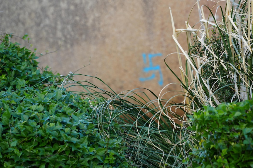 A small swastika sprayed onto a wall near the historic building in Albany.