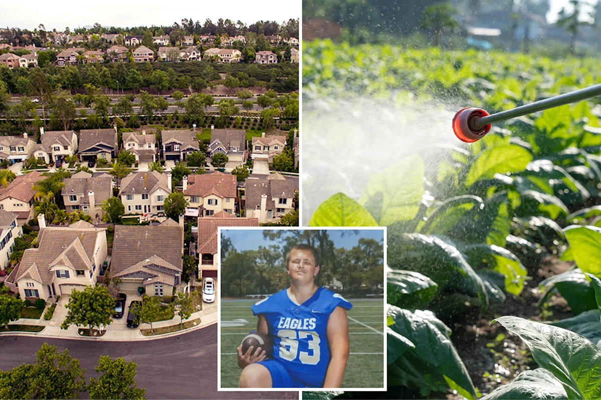 Ritzy SoCal city rocked by rare cancer outbreak suspends use of chemical landscaping products