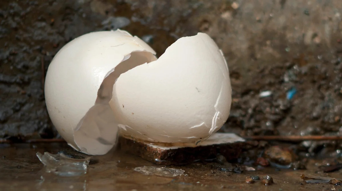 The June jobs report laid an egg: The US only added roughly half of what economists had forecast — what it means for you