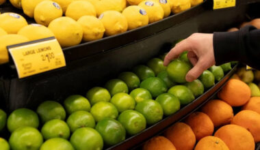 Fed report cites 'stepped-up' inflation due to tariffs, Iran war, AI buildout