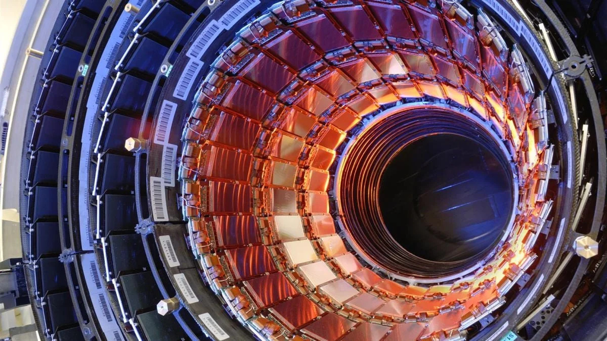 The Large Hadron Collider May Already Have Detected Hints of Dark Matter