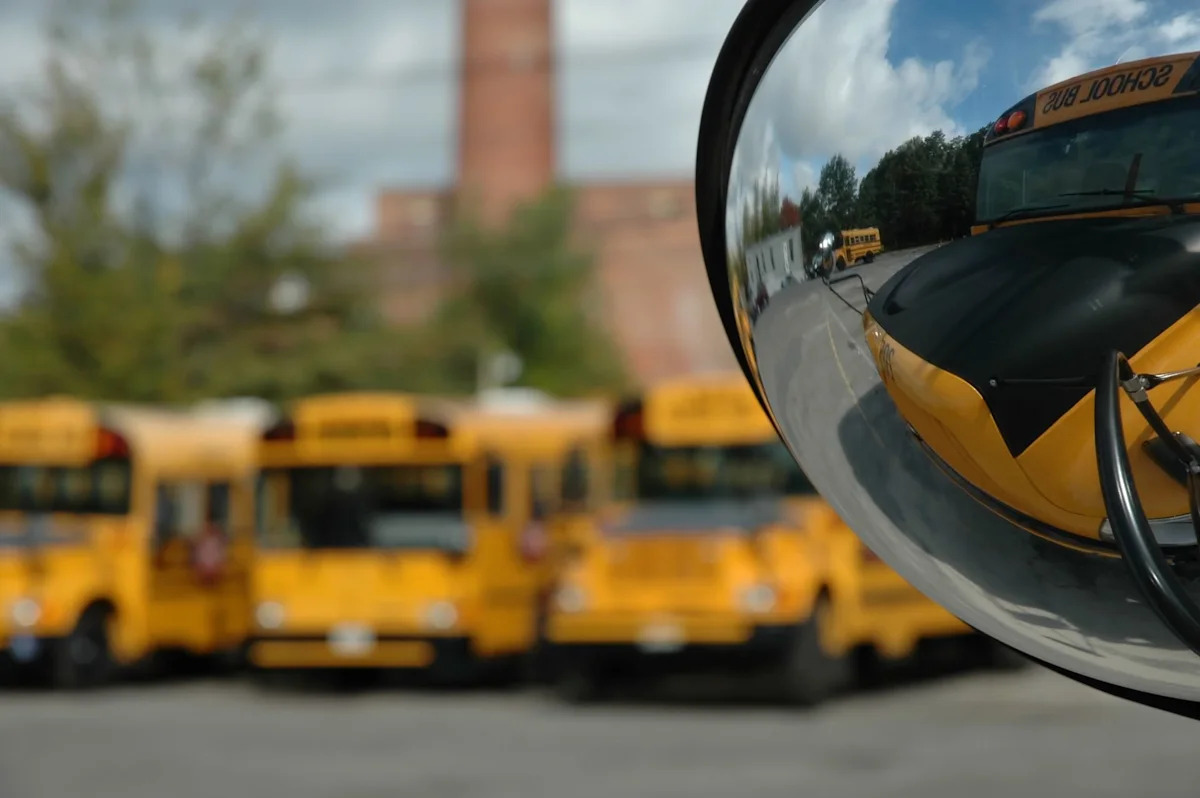 Pennsylvania school bus driver says she was fired after stopping to save 8 baby opossums