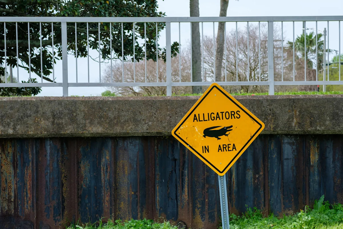 Louisiana family getting kids ready finds a 9-foot alligator waiting by the front door