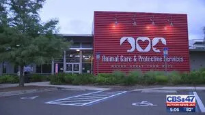Jacksonville organization halts heartworm treatment funding; ACPS urges donations