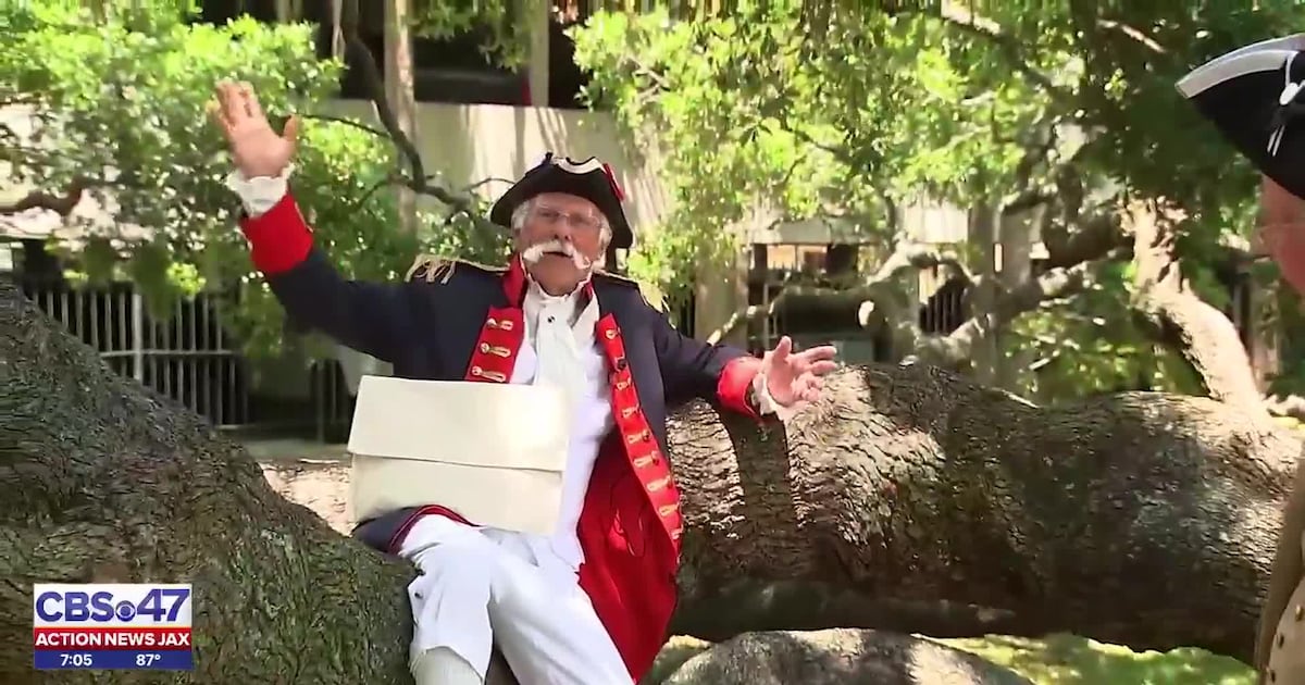 Jacksonville’s Liberty Tree: The Treaty Oak