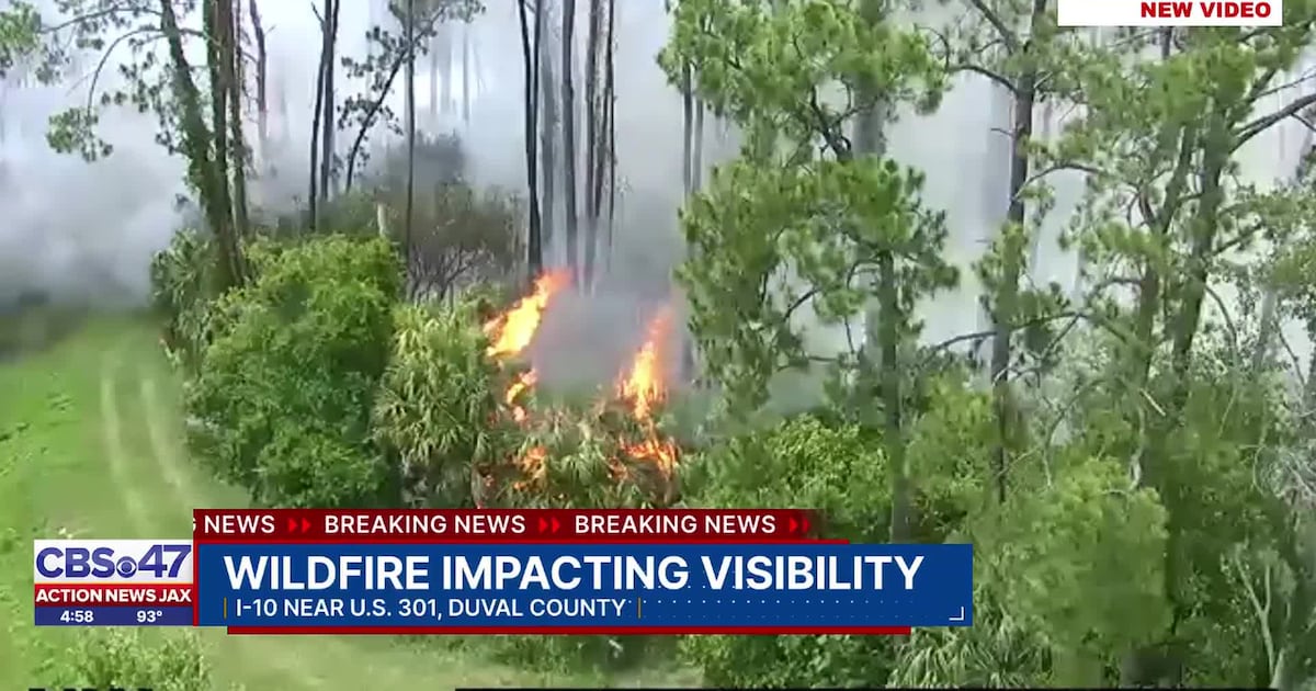 Brush fire sparks on I-10 near US-301