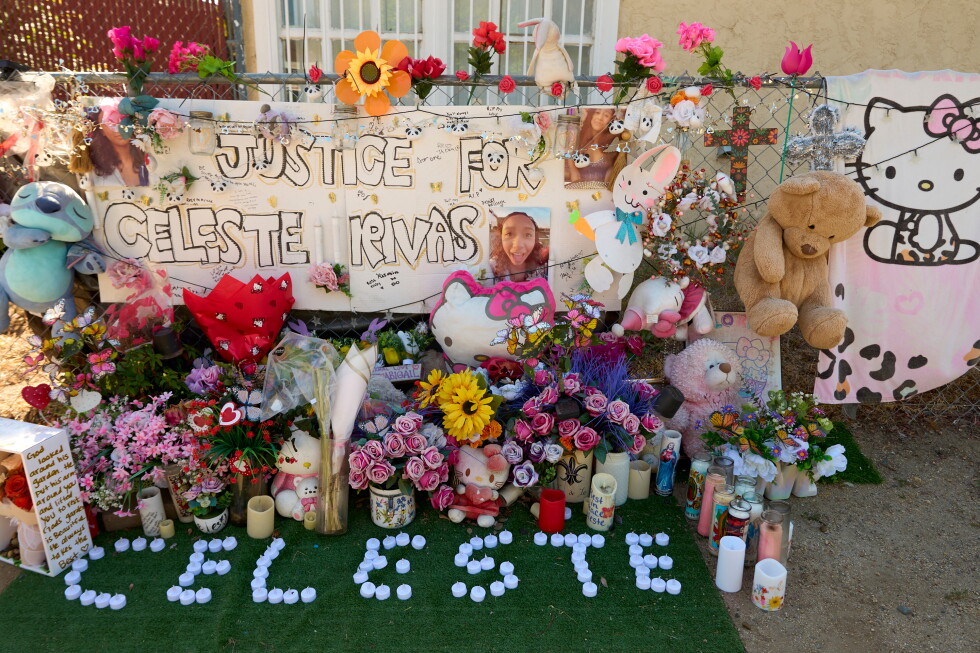 Doctor reveals autopsy details in Celeste Rivas Hernandez's death at D4vd hearing