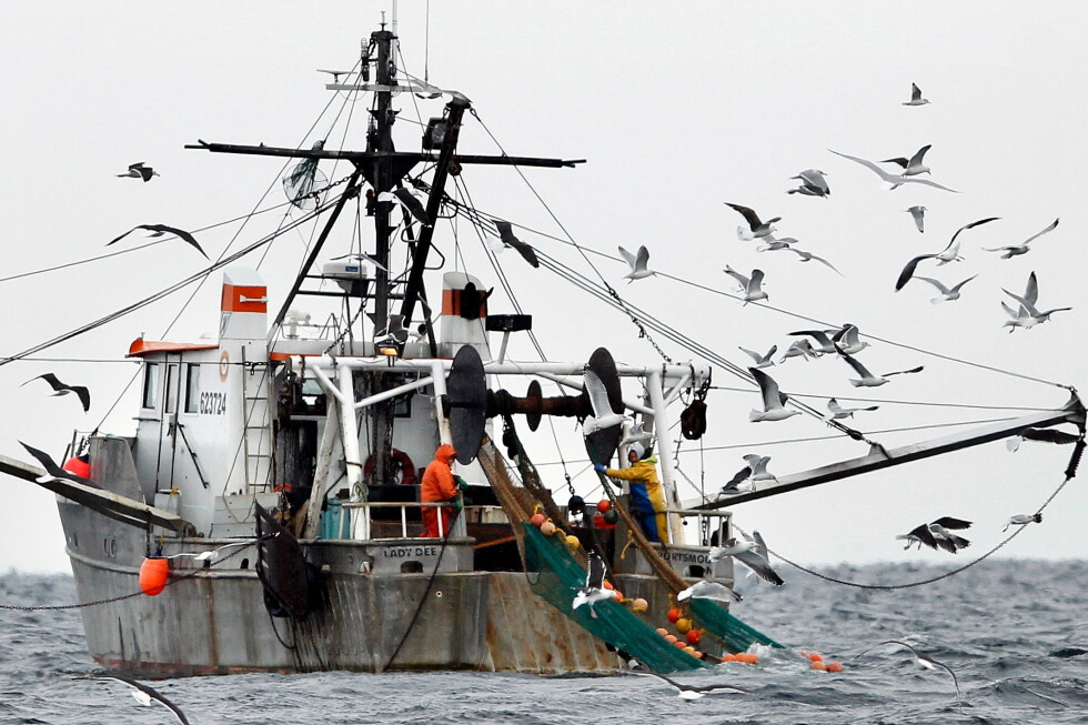 NOAA report finds Gulf of Maine warming slowed, but ecosystem unstable