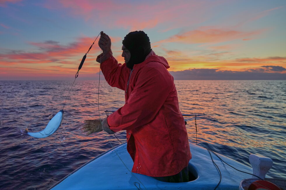 Climate change heats Mediterranean Sea, threatening biodiversity