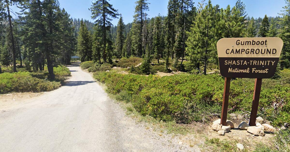 Forest Service workers taken hostage, held at gunpoint in NorCal, feds say