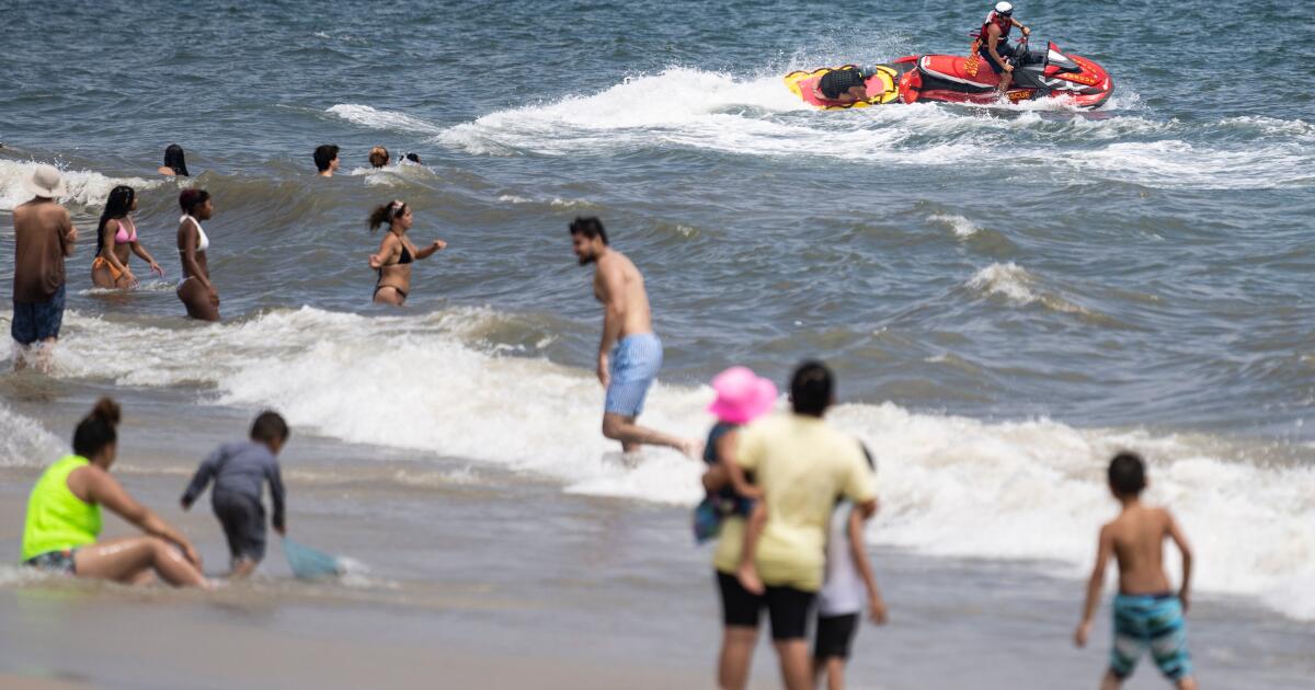 Suspected shark attack at New York City beach