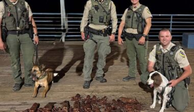 Spiny lobster poachers pinched at Santa Monica Pier