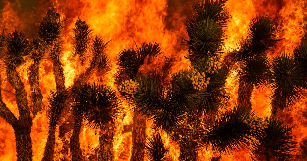 Extreme heat raises fears of fast-moving wildfires