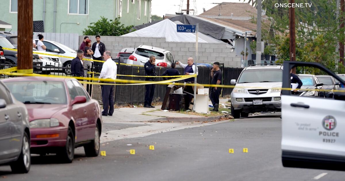 Bullet comes through window, killing L.A. mom as she sleeps