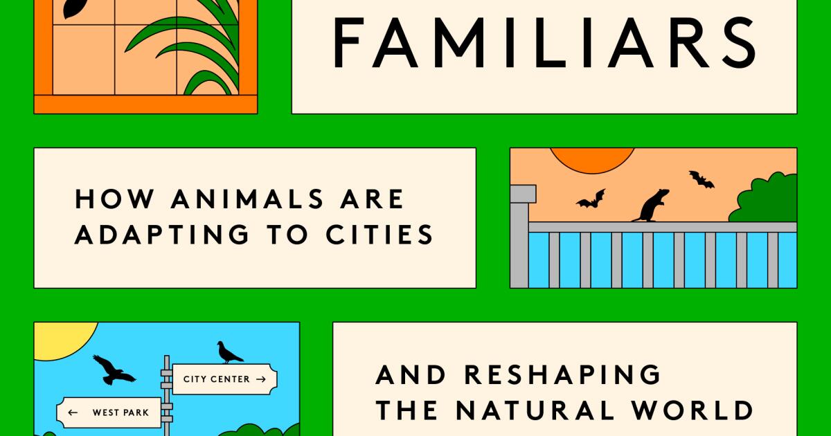 Dan Werb on 'Our Wild Familiars,' his new book about animals in cities
