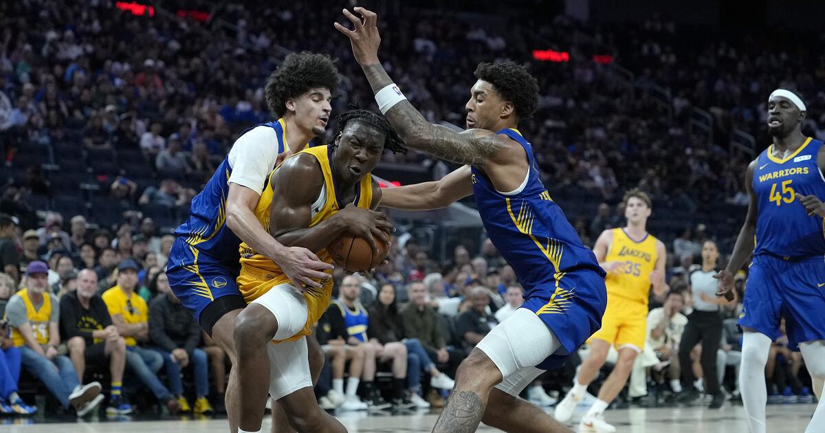 Lakers' Adou Thiero hoping to learn and lead in Summer League