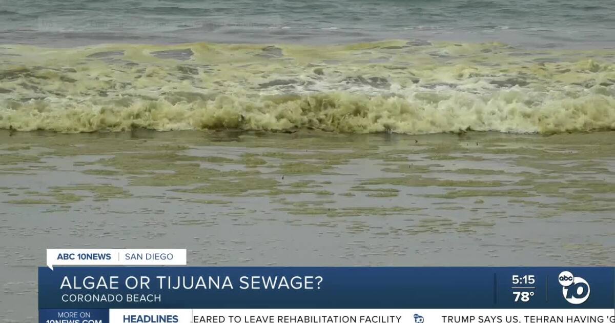 Brown water at Coronado Beach: Algae bloom or Tijuana sewage?