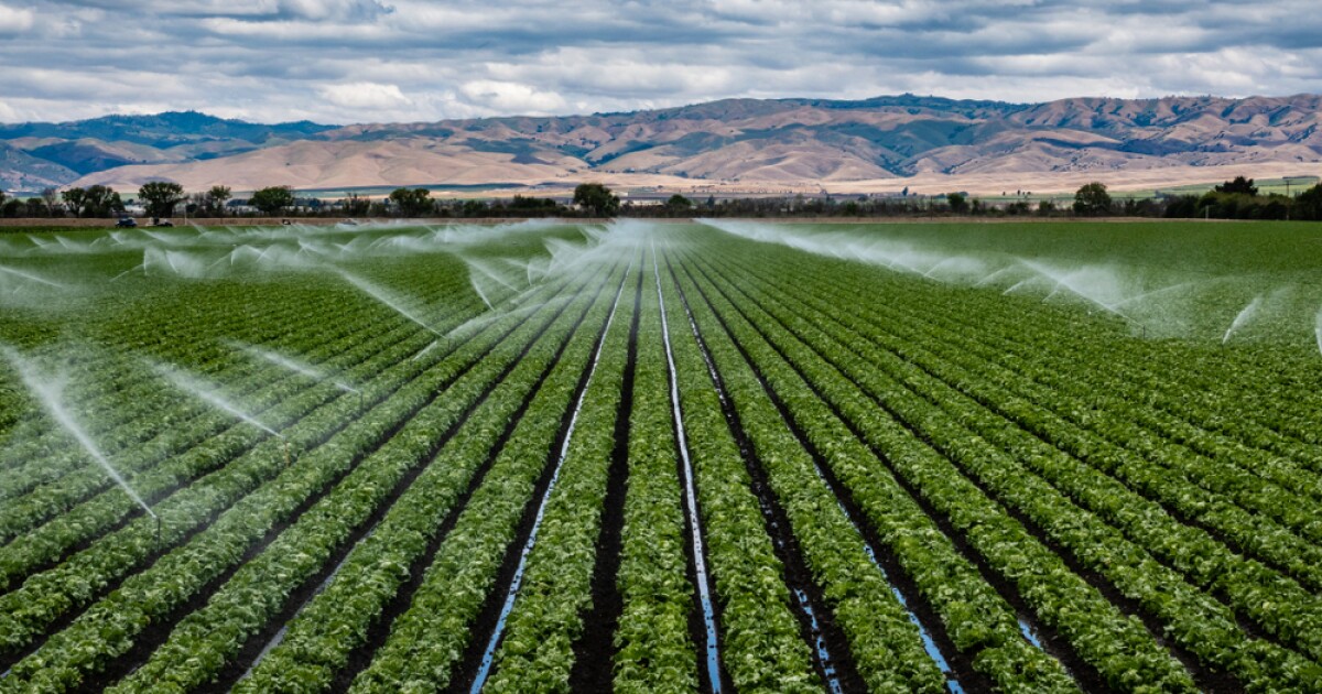 Taylor Farms recall prompts attention to Southern California shoppers