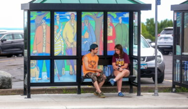 Local bus shelters transformed into art spaces - Duluth News Tribune