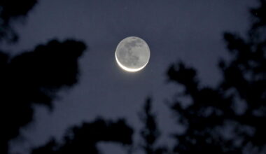 Astro Bob: Stuck on the sickle moon - Duluth News Tribune