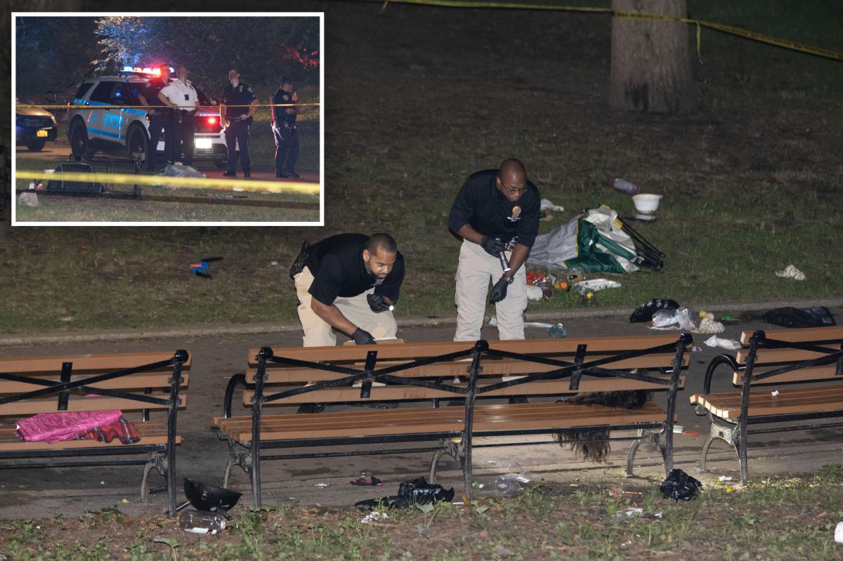 Maniac fatally stabbed 30-year-old woman in NYC park in fit of rage over spurned advances – in front of her son, 7: NYPD