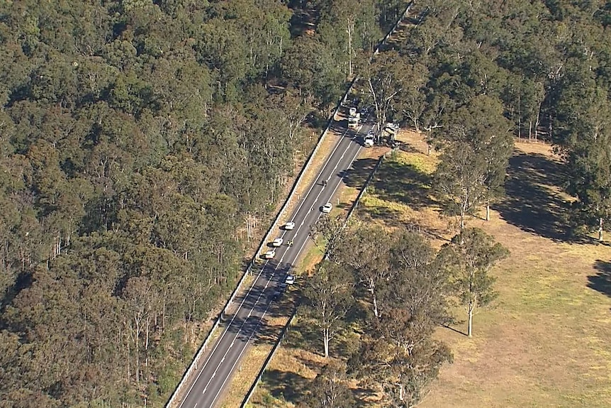 roadway with thick bush on either side
