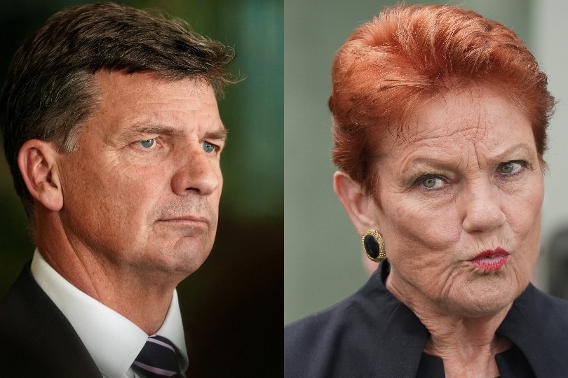 A composite image of Angus Taylor and Pauline Hanson at separate press conferences.
