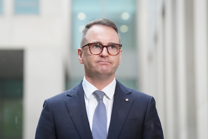 A photo of Mr Bragg, with short grey hair, glasses and blue tie, standing outside at Parliament.