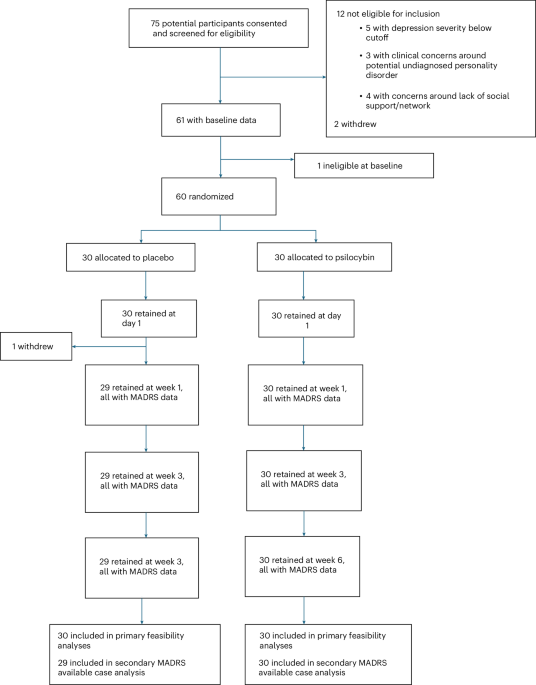 Psilocybin-assisted therapy for treatment-resistant major depressive disorder in a public healthcare setting: a randomized controlled trial