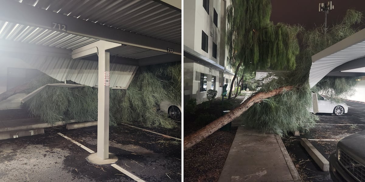 Monsoon storm snaps trees, knocks out power to Phoenix area residents