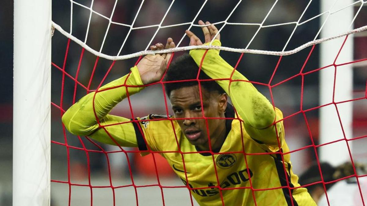 Alvyn Sanches: Milan's Target to Replace Leao