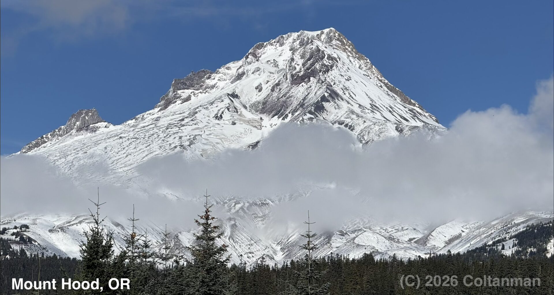 Snow covered Mount Hood with surrounding forest and blue sky with white clouds