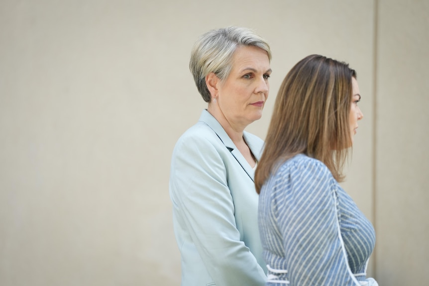 Tanya Plibersek and Sarah Hanson-Young arrive to speak during a press conference.